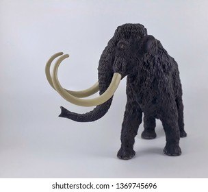 A mammoth is any species of the extinct genus Mammuthus. The various species of mammoth were commonly equipped with long, curved tusks and, in northern species, a covering of long hair.