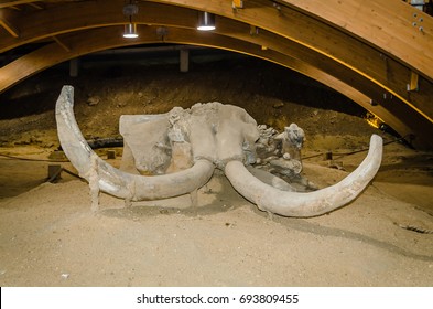 2,897 Mammoth bone Images, Stock Photos & Vectors | Shutterstock