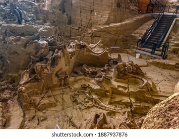 Mammoth Fossil Dig Site In Hot Springs, South Dakota