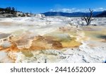 Mammoth Hot Spring, Yellowstone, Wyoming - United States of America