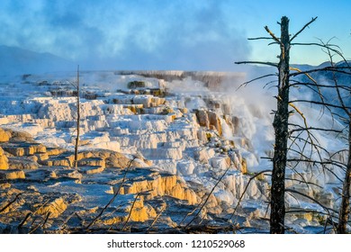 Mammoth Hot Springs