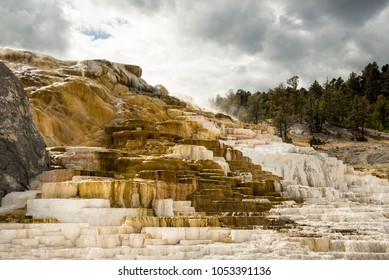 Mammoth Hot Springs, Yellowstone