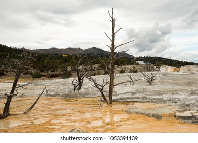 Mammoth Hot Springs, Yellowstone