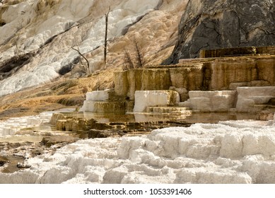 Mammoth Hot Springs, Yellowstone