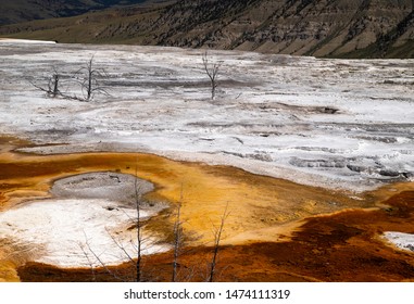 Mammoth Hot Springs In Yellowstone National Park. Springs Are Heated Up By Magma Chamber Below.