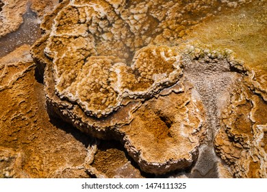 Mammoth Hot Springs In Yellowstone National Park. Springs Are Heated Up By Magma Chamber Below.