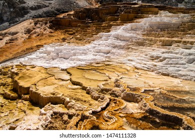 Mammoth Hot Springs In Yellowstone National Park. Springs Are Heated Up By Magma Chamber Below.