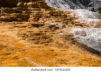 Mammoth Hot Springs In Yellowstone National Park. Springs Are Heated Up By Magma Chamber Below.