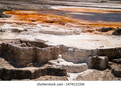 Mammoth Hot Springs In Yellowstone National Park. Springs Are Heated Up By Magma Chamber Below.