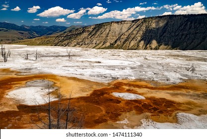 Mammoth Hot Springs In Yellowstone National Park. Springs Are Heated Up By Magma Chamber Below.