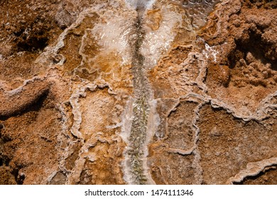 Mammoth Hot Springs In Yellowstone National Park. Springs Are Heated Up By Magma Chamber Below.