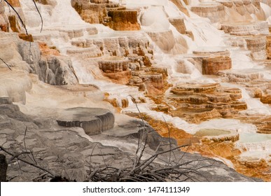 Mammoth Hot Springs In Yellowstone National Park. Springs Are Heated Up By Magma Chamber Below.