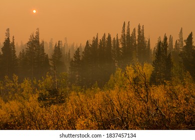 Mammoth Lakes, California - 10 14 2020: Autumn Through Smoke From The Creek Fire