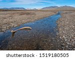 Mammoth tusk in a riverbed near Doubtful village, Wrangel Island, Chuckchi Sea, Russian Far East, Unesco World Heritage Site