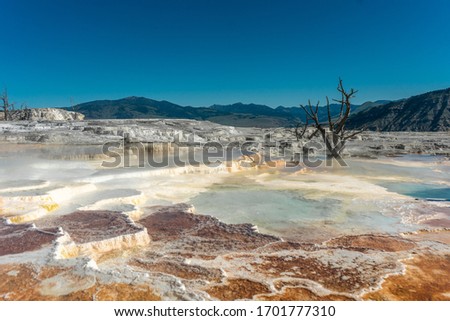 Mammoth Upper Terraces Area in Yellowstone National Park Сток-фото © 