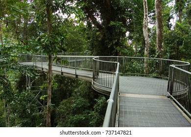 Mamu Rainforest Canopy Walkway In Australia