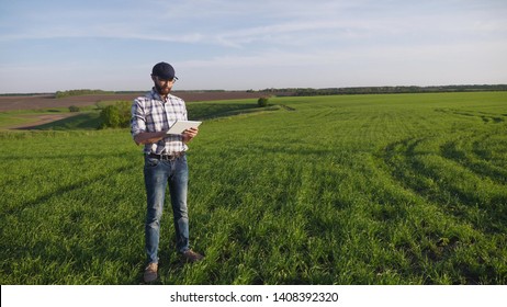 A man agronomist with a beard wearing a black cap in a barley field in spring uses a digital tablet. The camera in slow motion flies farmer around