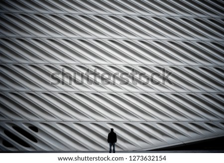 Similar – Image, Stock Photo Lone ranger Monitoring