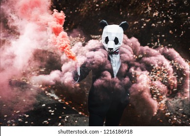 Man In Animal Panda Mask With Colored Smoke. Wildlife Danger. 