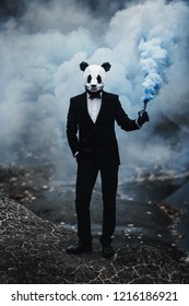 Man In Animal Panda Mask With Colored Smoke. Wildlife Danger. 