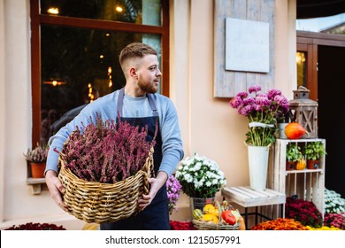 Man In Apron Holding Basket With Vibrant Pink Common Heather (Calluna Vulgaris), Looking Away Over Window, Storefront Of Flower Shop, Outdoor. Autumn Sale And Small Business Concept.