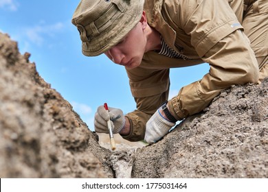 man archaeologist or paleontologist gently cleans the fossil bone found in the ground with a brush               