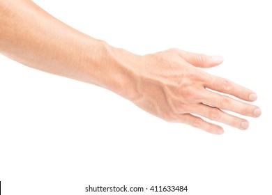 Man Arm With Blood Veins On White Backgrond