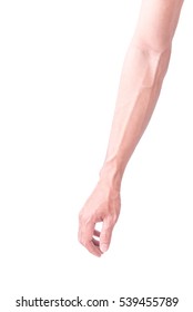 Man Arm With Blood Veins On White Background