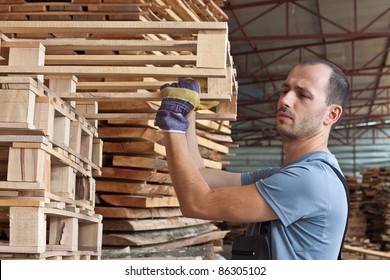 Man Arranging Beech Pallets In A Warehouse, Horizontal Shot