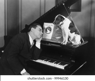 Man Asleep At Piano With Dog