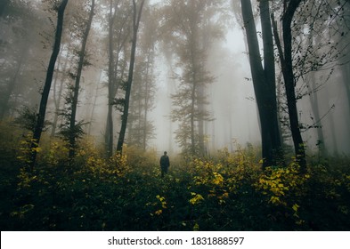 Man In Autumn Woods, Fantasy Forest Landscape