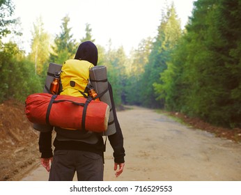 A man with a backpack in the forest