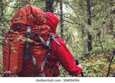 man with a backpack going up the path in the mountain forest, the concept of ecological active tourism