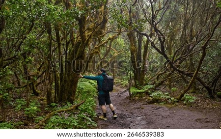 Man with backpack touching mossy tree in the humid laurisilva forest of Anaga while hiking