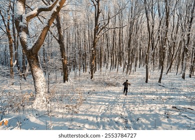 A man with a backpack and trekking poles running through a winter, snow-covered forest. A beautiful sunny winter day, perfect time for a sports walk - Powered by Shutterstock