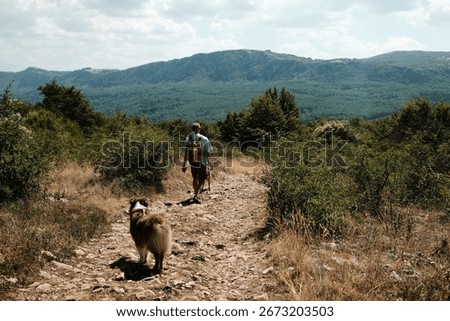Man with backpack and two dogs walking along rocky trail in Stara Planina, Serbia, surrounded by green forest hills. Rear view