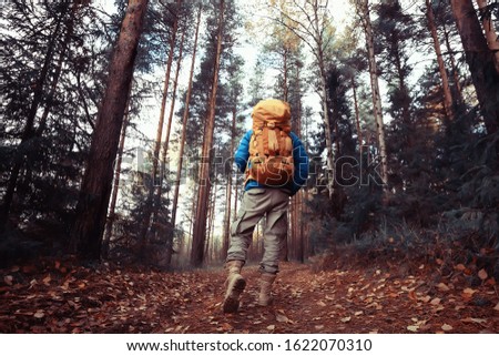 man with  backpack a view from the back, hiking in the forest, autumn landscape, the back of  tourist with a backpack