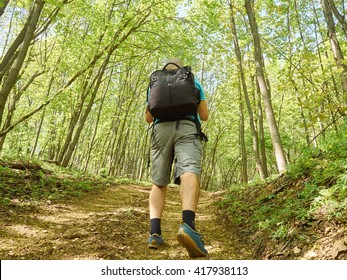 A Man With A Backpack Walk Uphill The Forest Trail .Hiking.