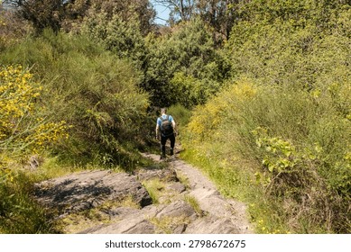 Man with backpack walking down a dirt and rock path surrounded by green trees