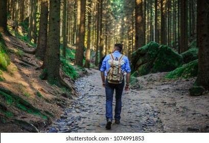 
A Man With A Backpack Is Walking In The Woods. Back View