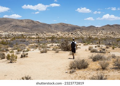 A man with backpack walks between dry bushes and Joshua Trees on Arch Rock trail in Joshua Tree National Park, California toward mountains covered with enormous rocks. - Powered by Shutterstock