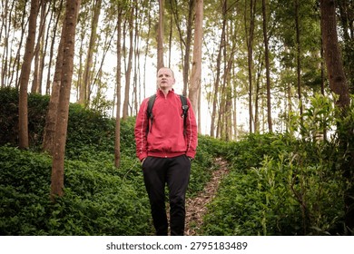 Man with backpack wearing red jacket walking on a trail in the woods
