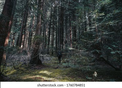 Man backwards exploring the forest