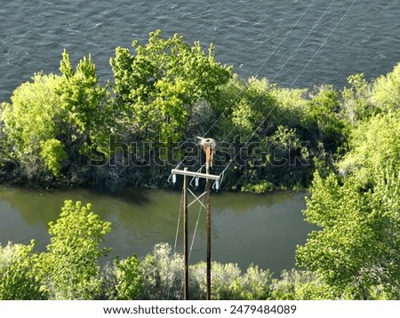 Man balancing on high wire with trees in background