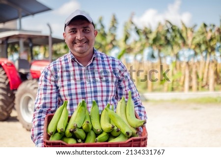 Man in banana farm, holds green bananas in his hands. ストックフォト © 