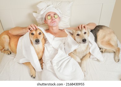 A Man In A Bathrobe With A Two Dogs Takes Care Of Facial Skin While Lying On Bed. A Guy And A Shepherd Put On A Face Mask. The Concept Of Male Health And Beauty, Cosmetology, Body And Skin Care.