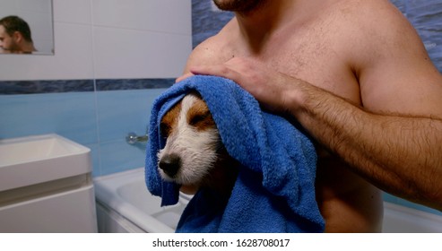 A Man In The Bathroom With His Dog In His Arms. He Wipes The Animal's Head And Paws With A Blue Towel. Close Up