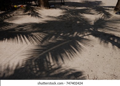 Man Beach Sandals On The Sand With Palm Tree Shadow