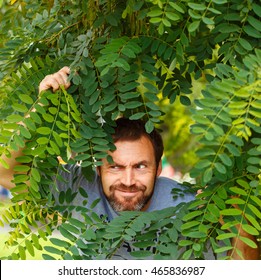 A Man With A Beard Peeking Out From The Bushes Of Acacia