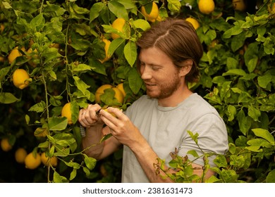 A man with a beard stands by a lemon tree cutting a lemon and smiling - Powered by Shutterstock